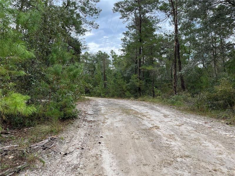 Recently Sold: $11,900 (1.22 acres)