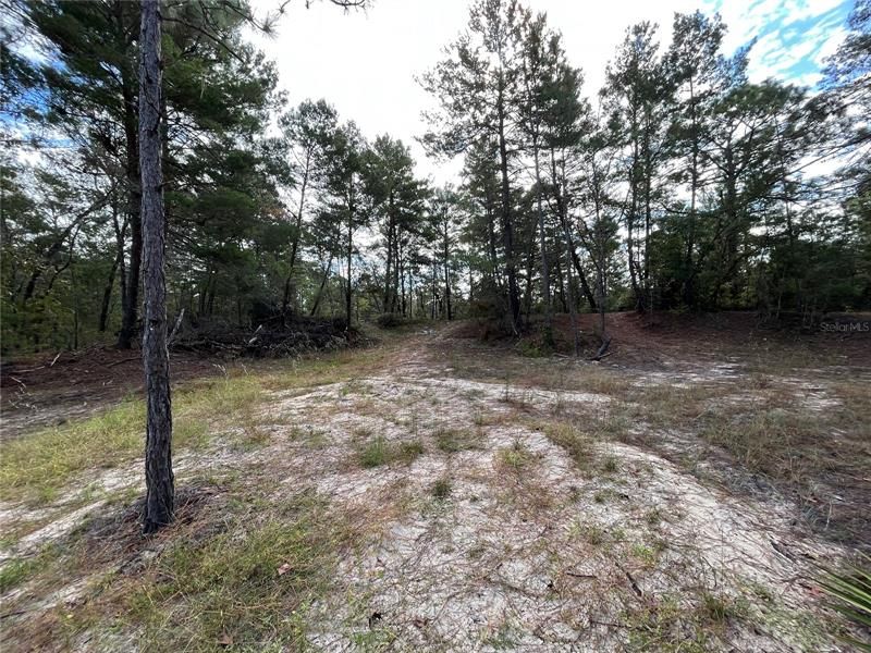 Recently Sold: $6,900 (0.34 acres)