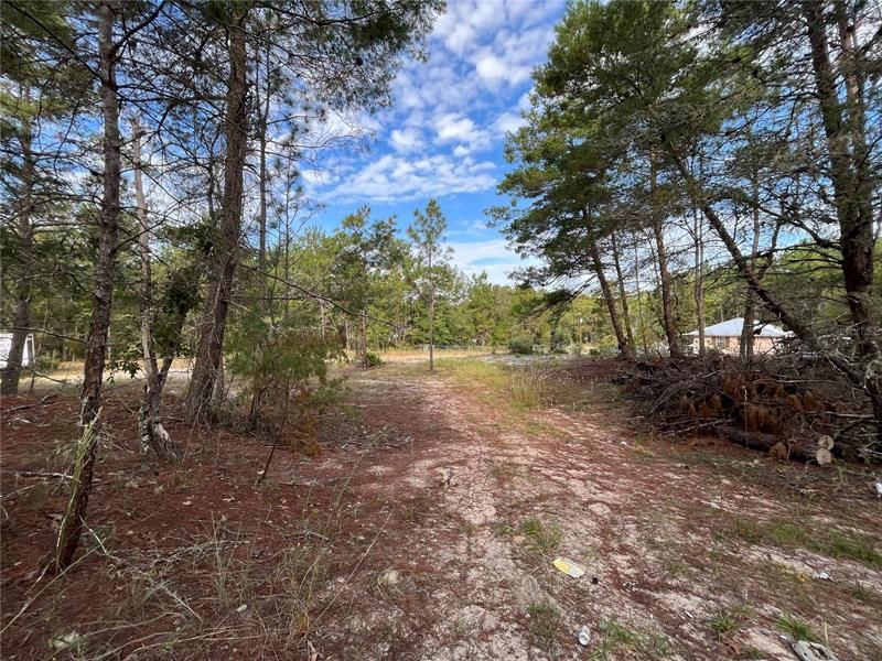 Recently Sold: $6,900 (0.34 acres)