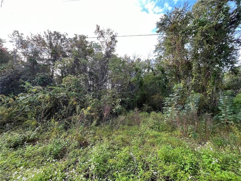 Recently Sold: $19,900 (0.93 acres)