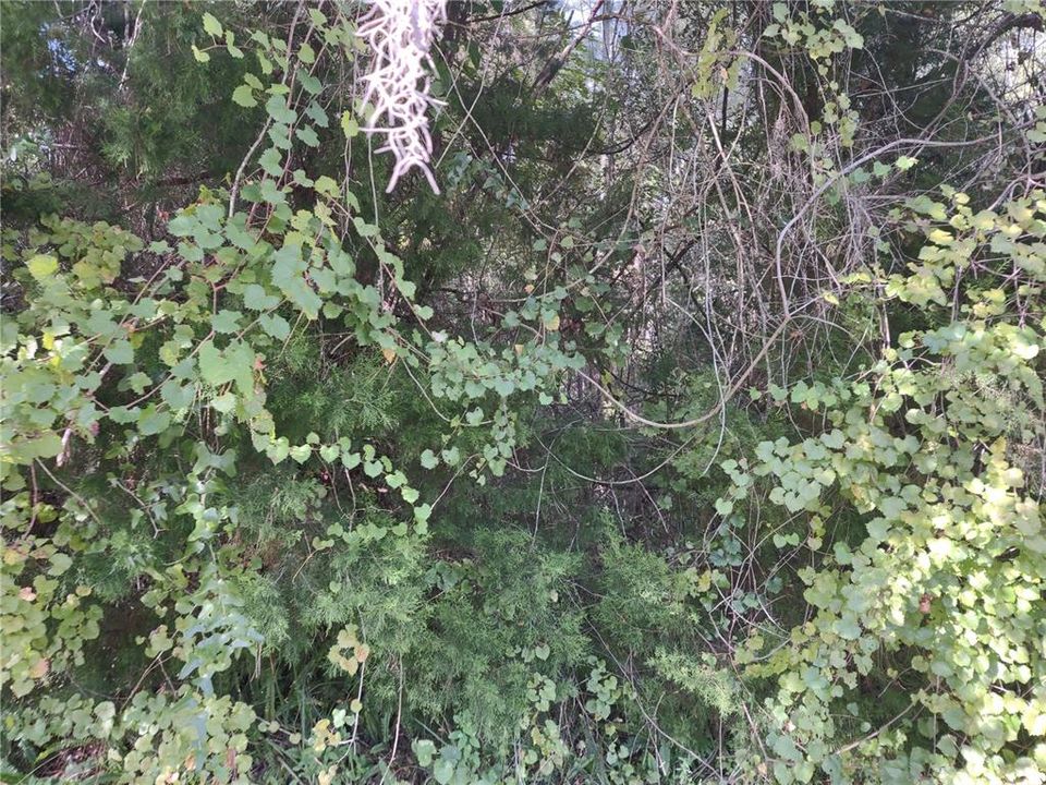 Recently Sold: $49,000 (1.30 acres)