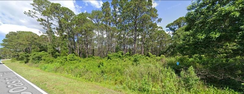 Recently Sold: $29,999 (0.34 acres)