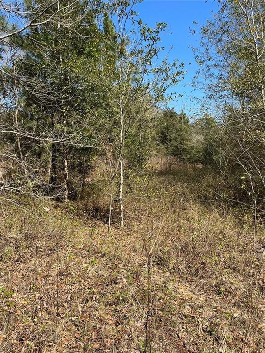 Recently Sold: $99,500 (5.07 acres)