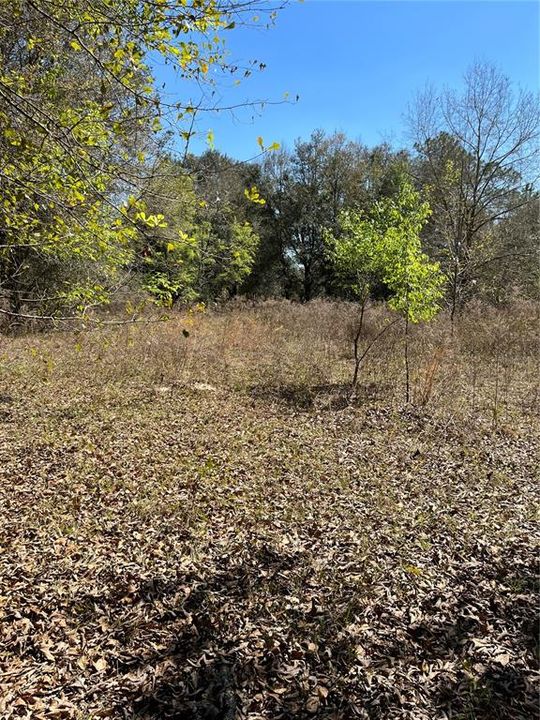 Recently Sold: $99,500 (5.07 acres)