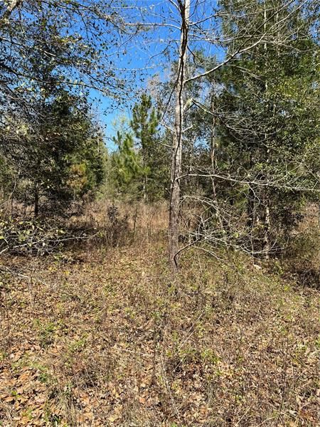 Recently Sold: $99,500 (5.07 acres)