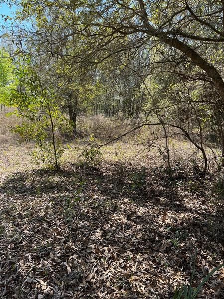 Recently Sold: $99,500 (5.07 acres)