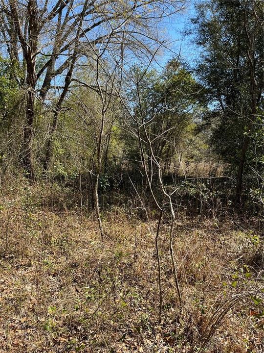 Recently Sold: $99,500 (5.07 acres)