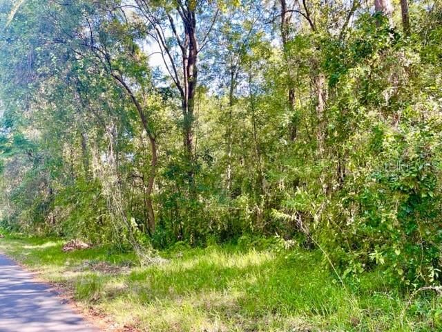 Recently Sold: $28,000 (0.44 acres)