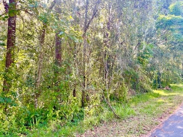 Recently Sold: $28,000 (0.44 acres)