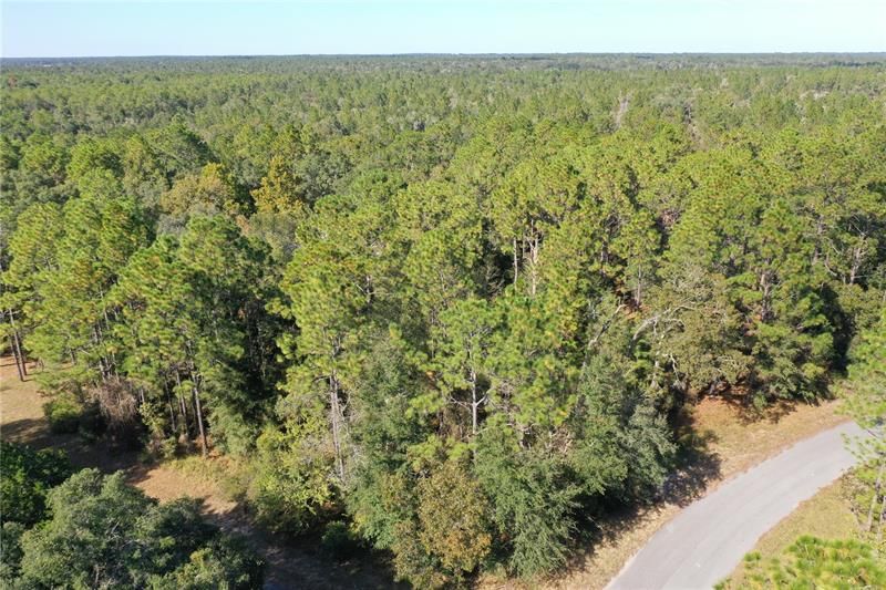 Recently Sold: $48,000 (1.52 acres)