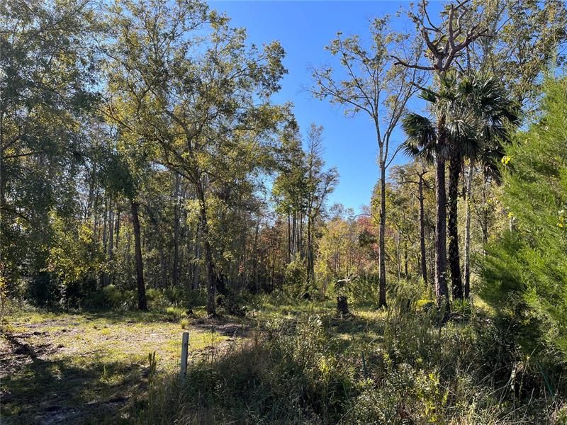 Recently Sold: $40,000 (4.79 acres)