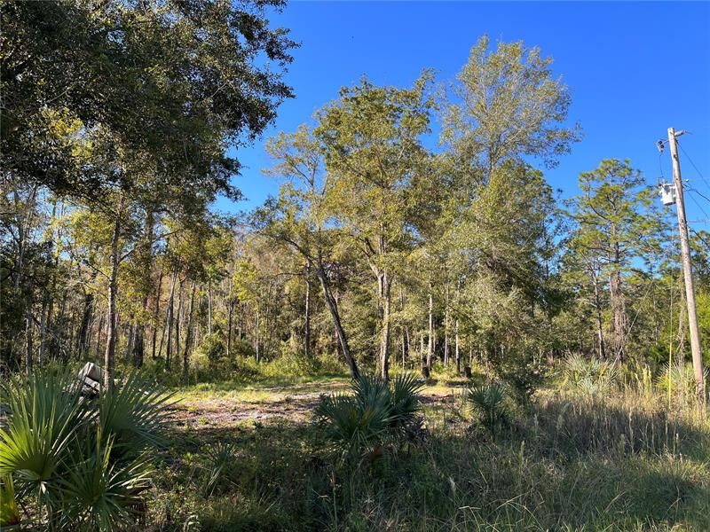 Recently Sold: $40,000 (4.79 acres)