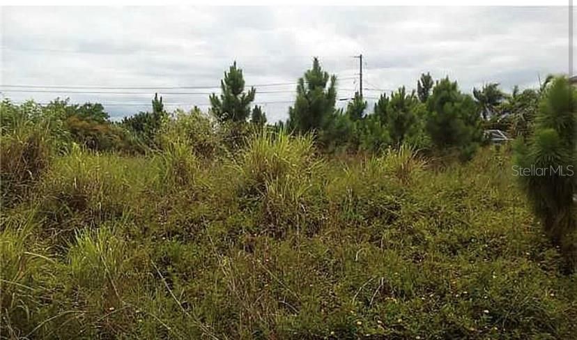 Vendido Recientemente: $60,000 (0.23 acres)