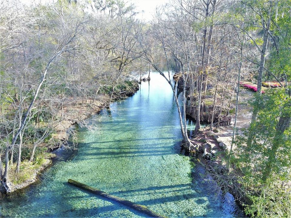 Ginnie Springs Run