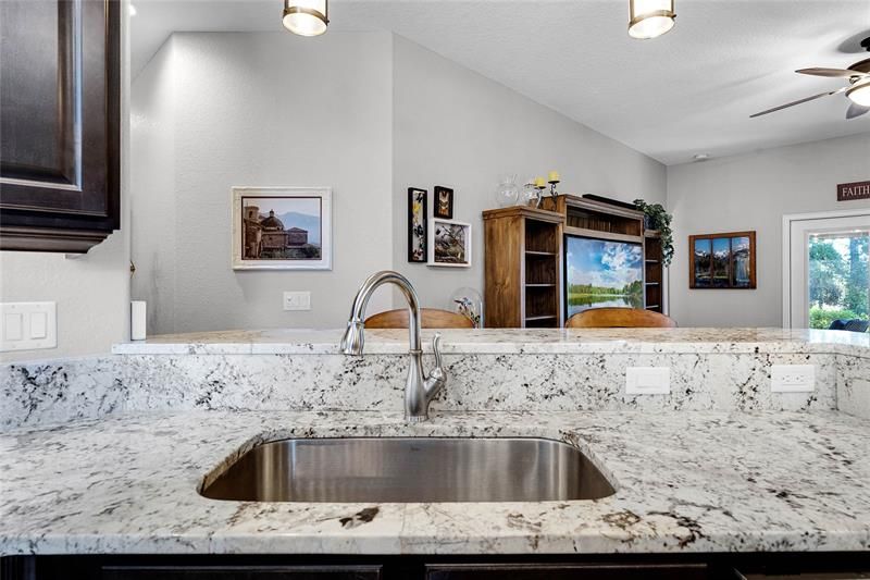 Kitchen Sink with Granite and Stainless Steel Faucet