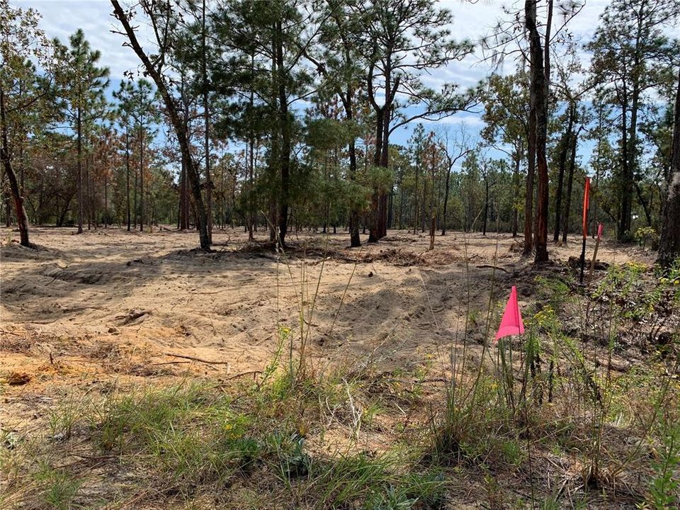 Recently Sold: $38,900 (2.61 acres)