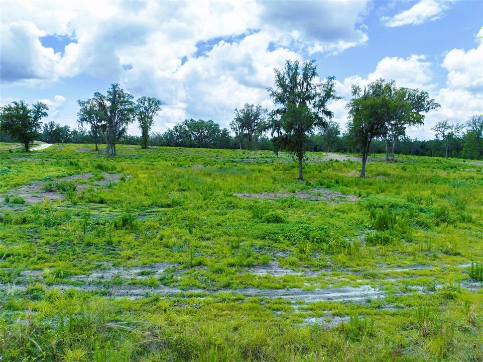 For Sale: $687,150 (25.45 acres)