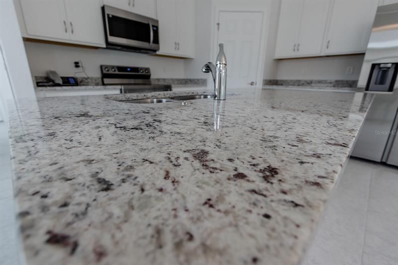 Granite Countertops (interior photos from model home which has same finishings as this house)