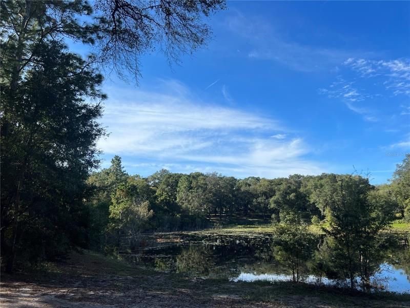 Vendido Recientemente: $104,900 (2.33 acres)