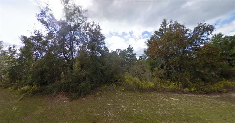 Recently Sold: $11,500 (0.26 acres)