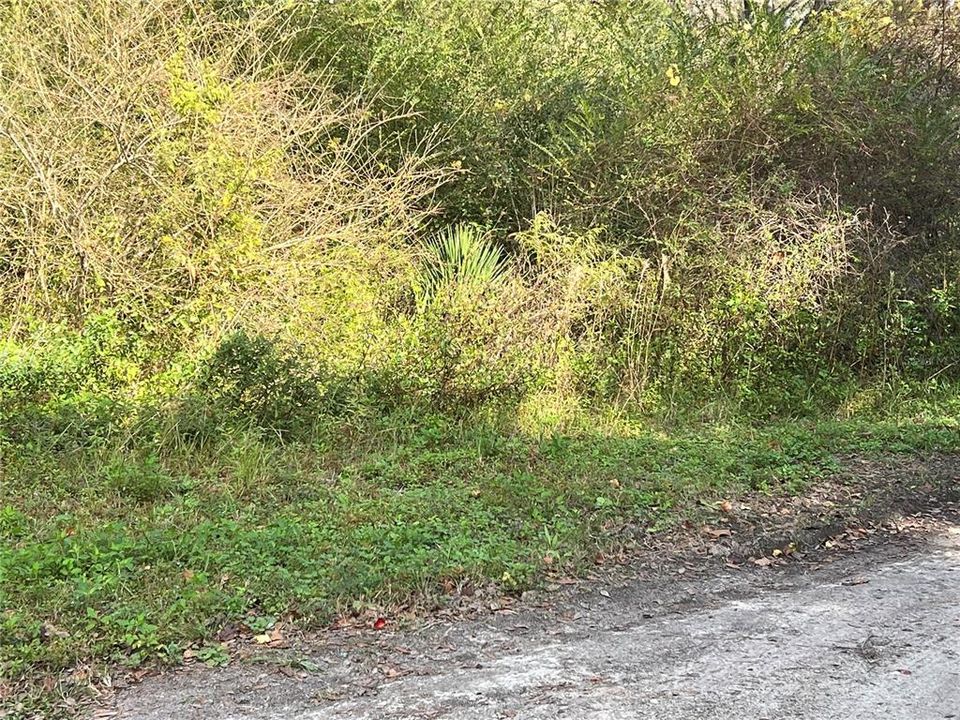 Recently Sold: $12,000 (1.10 acres)