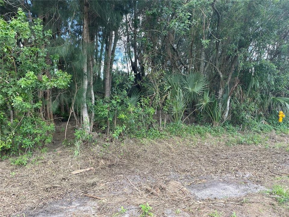 Recently Sold: $30,000 (0.25 acres)