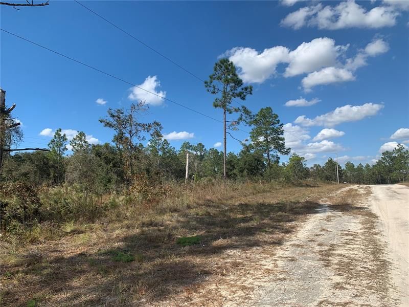 For Sale: $79,900 (6.66 acres)