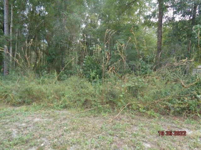 Recently Sold: $15,400 (0.24 acres)
