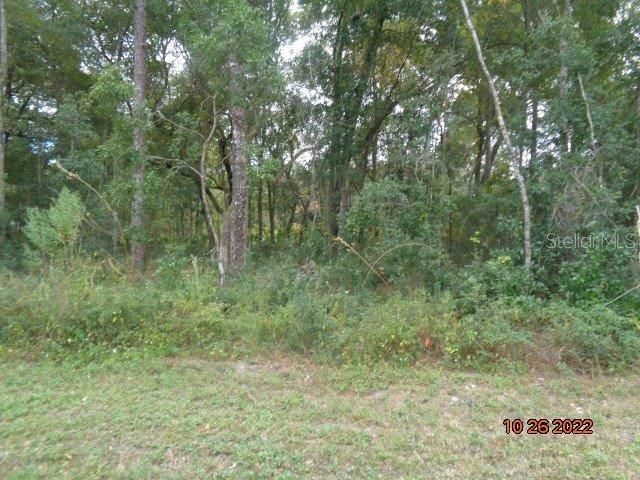 Recently Sold: $15,400 (0.24 acres)