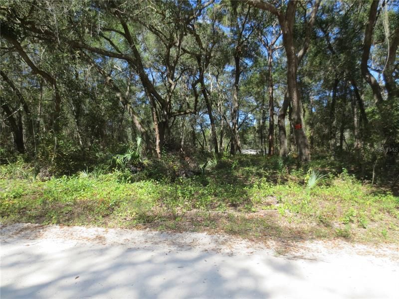 Recently Sold: $11,000 (0.33 acres)