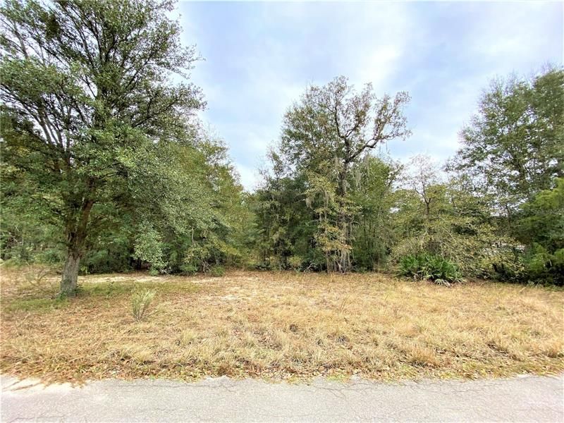 Recently Sold: $70,000 (1.21 acres)