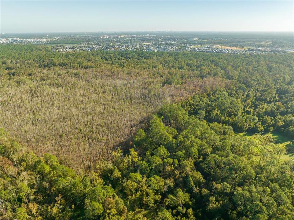 Недавно продано: $18,000 (1.25 acres)