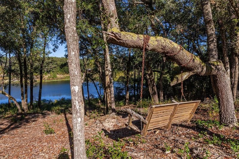 Homesite Looking West toward the lake.