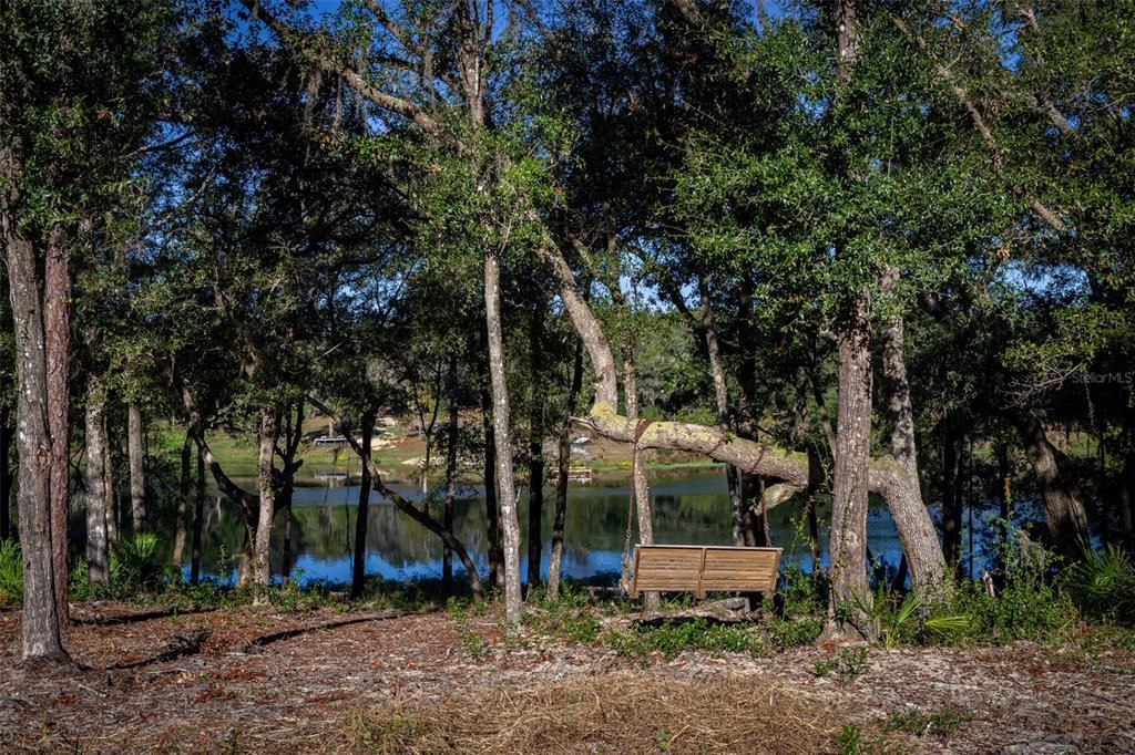 The swing sits at the top of the slope down to the lake.