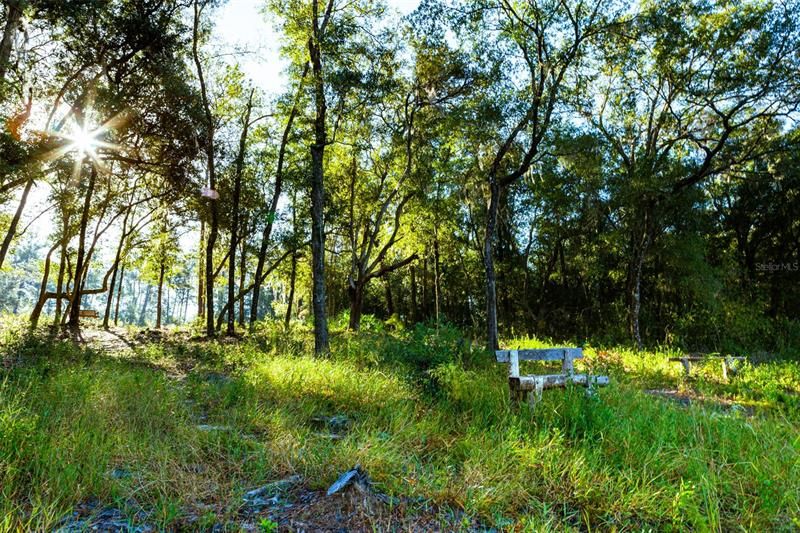 Недавно продано: $110,000 (4.98 acres)