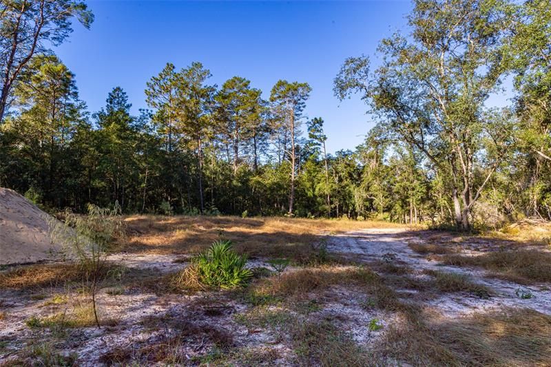 High and dry portion of the lot for your home.