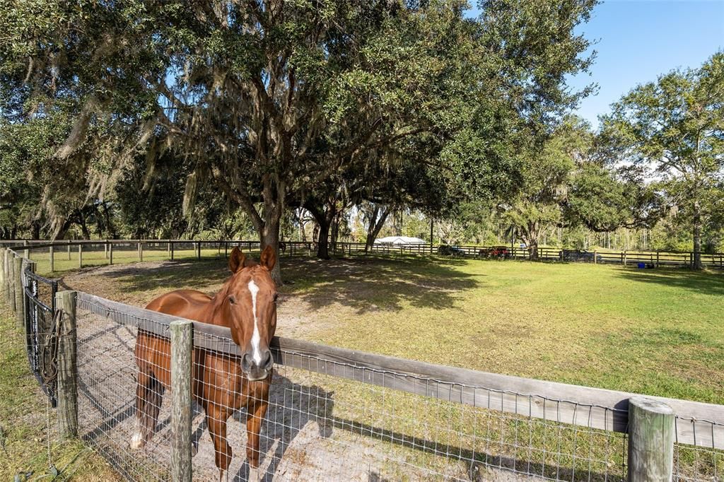 Vendido Recientemente: $993,000 (3 camas, 2 baños, 1821 Pies cuadrados)