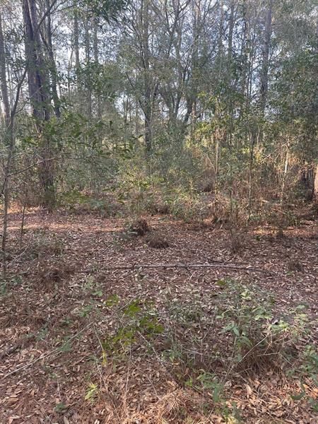 Recently Sold: $20,000 (1.16 acres)