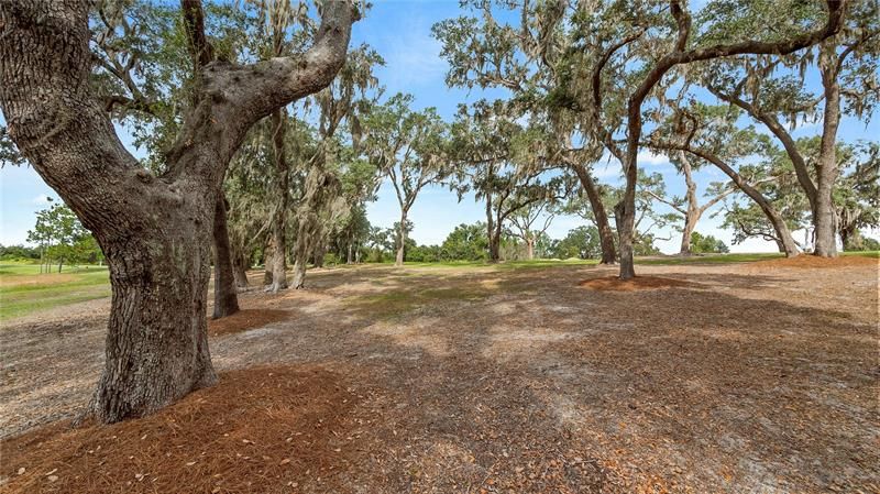 Recently Sold: $95,000 (3.21 acres)