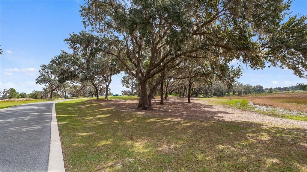 Recently Sold: $95,000 (3.21 acres)