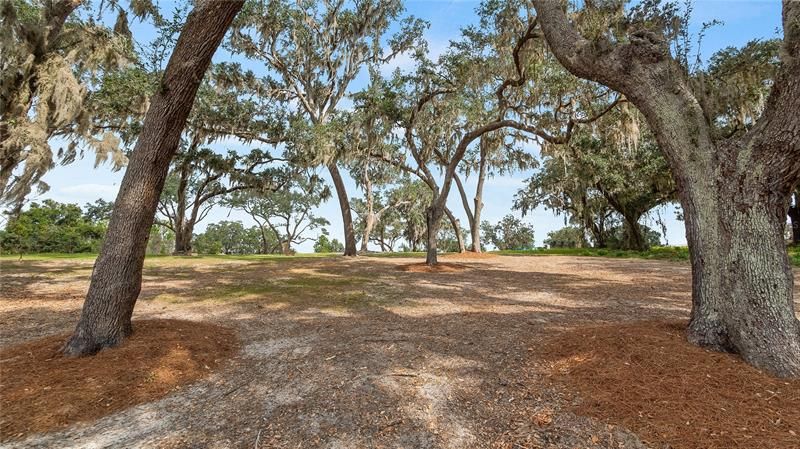 Recently Sold: $95,000 (3.21 acres)