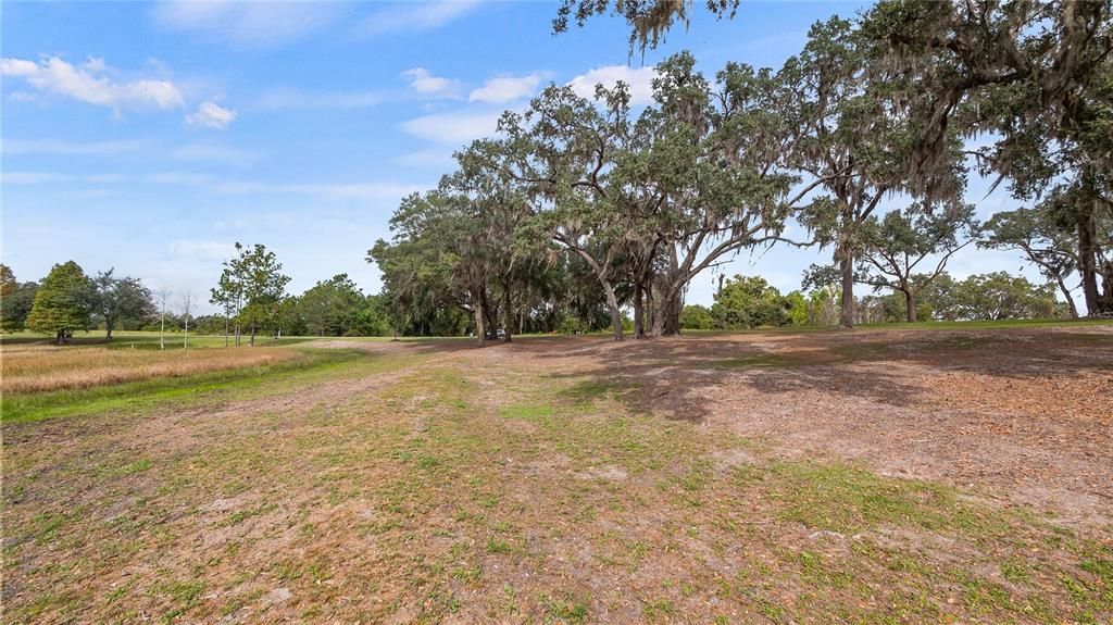 Recently Sold: $95,000 (3.21 acres)