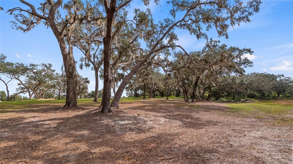 Recently Sold: $95,000 (3.21 acres)