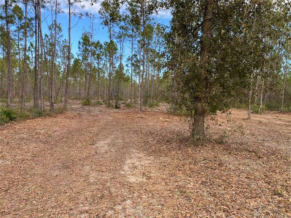 Recently Sold: $139,900 (10.00 acres)