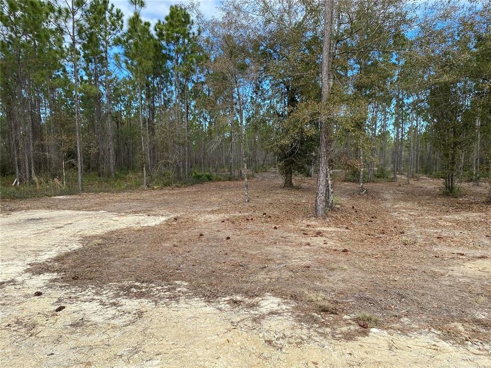 Recently Sold: $139,900 (10.00 acres)
