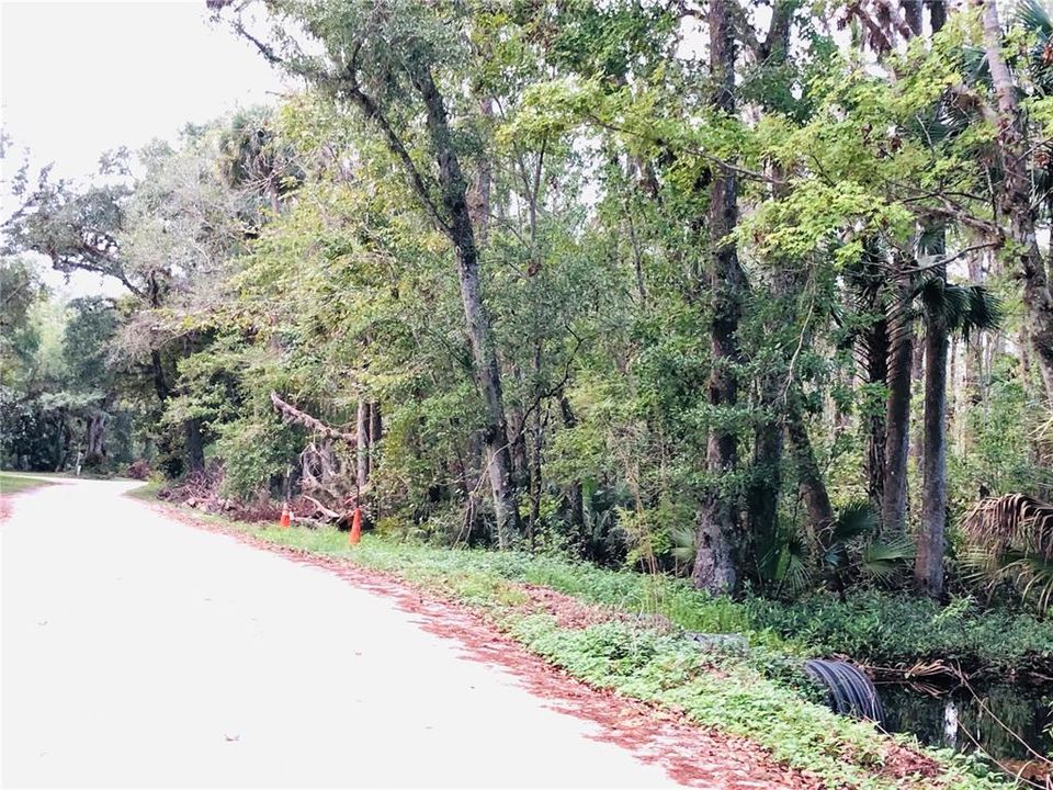 En Venta: $105,000 (5.01 acres)