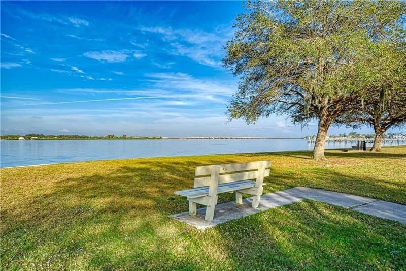 Gulf Cove Park Bench