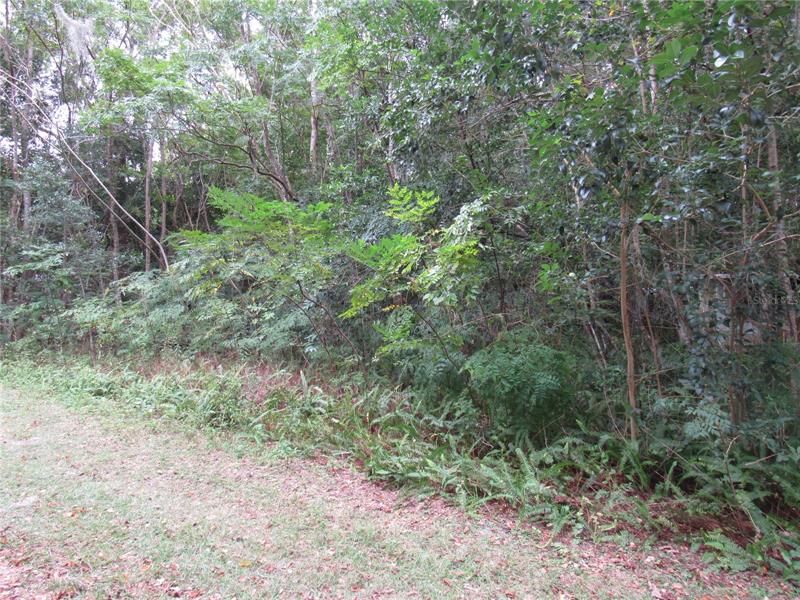 Recently Sold: $19,750 (0.58 acres)