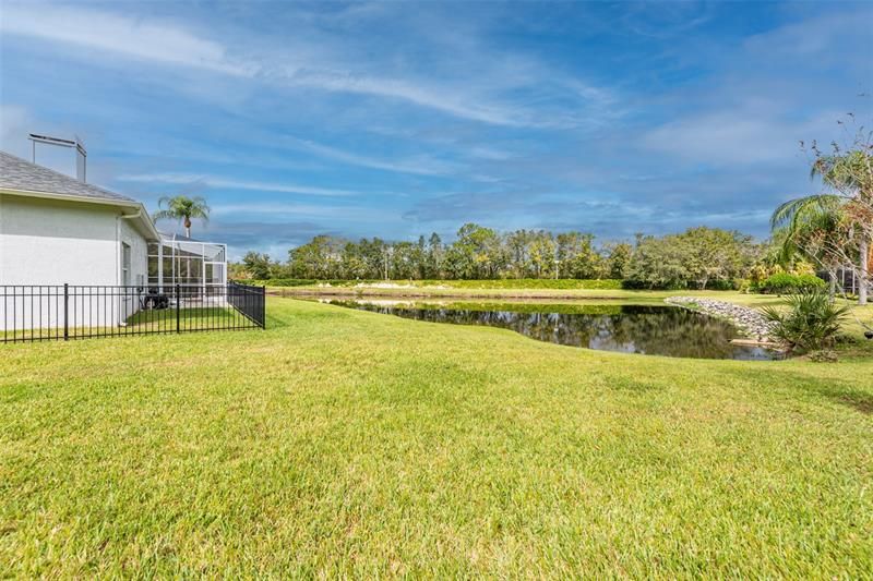 Backyard and pond.