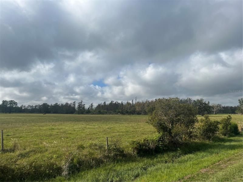 Recently Sold: $220,000 (20.00 acres)